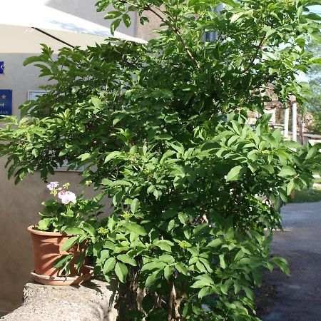 Apartment Krnica N43 エクステリア 写真