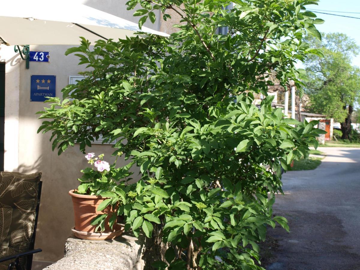 Apartment Krnica N43 エクステリア 写真